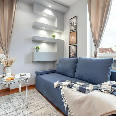 Bright Grey In Close To The By Renters * Sopot