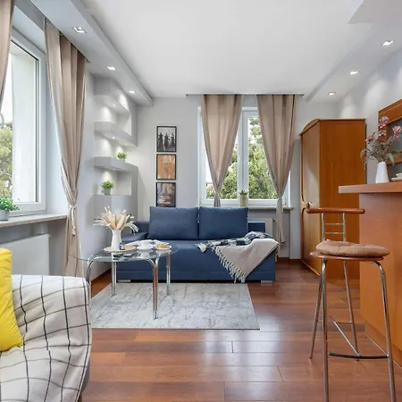 Bright Grey In Close To The By Renters Сопот