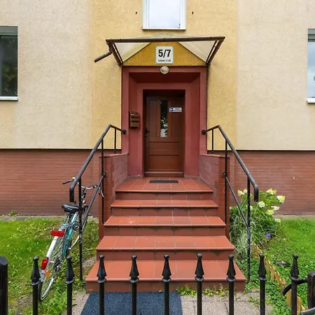 Bright Grey In Close To The By Renters * Сопот
